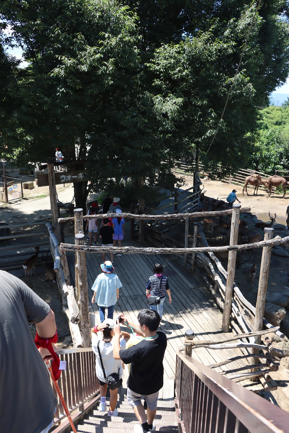 教会学校・夏の遠足　その1